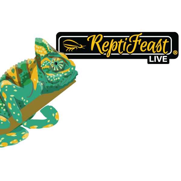 Chameleon Sticker by Segrest, Inc.