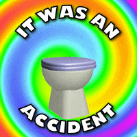 It Was An Accident GIF