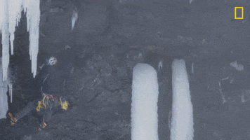 Hitting Nat Geo GIF by National Geographic Channel