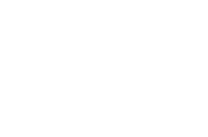 Bergen internasjonale filmfestival Sticker