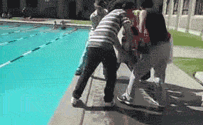 https://media1.giphy.com/media/kxZdzm6wpgvF6/giphy.gif?cid=790b7611ef73c74387dcc13ad66a0f15db25dbbc421678b1&rid=giphy.gif&ct=g