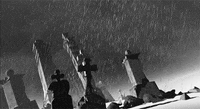 [Image: 200w.gif?cid=790b76115d01ae0167776b466b5...d=200w.gif]