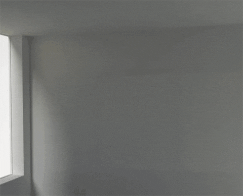 bulb