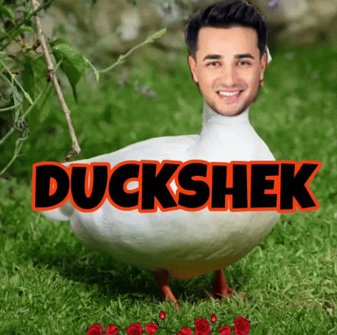 Hardik Pandya Csk GIF