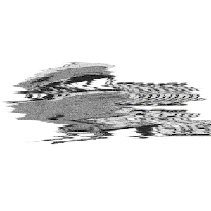 Kombi Crew Sticker by Kombi Life