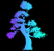 Elisson Andrade Fotografia GIF