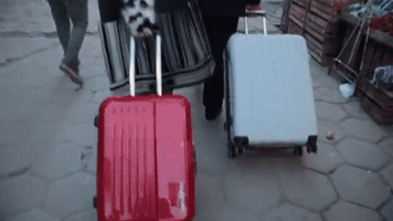 operaperiferica  GIF