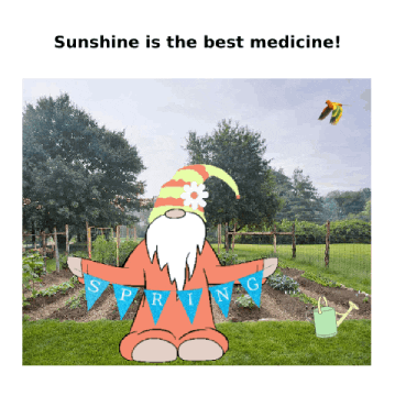 medicine's meme gif