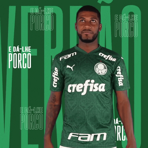 Puma Bola GIF by SE Palmeiras