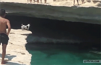 Cliff Dive GIFs Cliff Dive GIFs