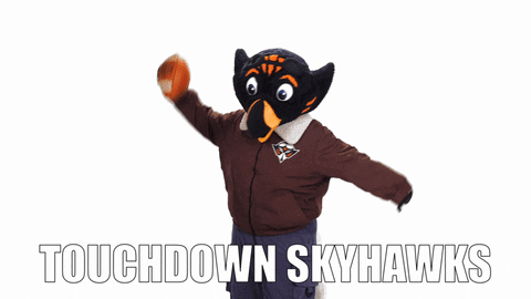 Skyhawk meme gif