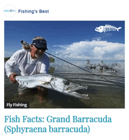 fishing facts GIF by Gifs Lab