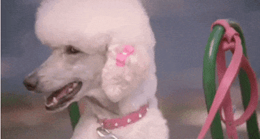 GIF by Kate