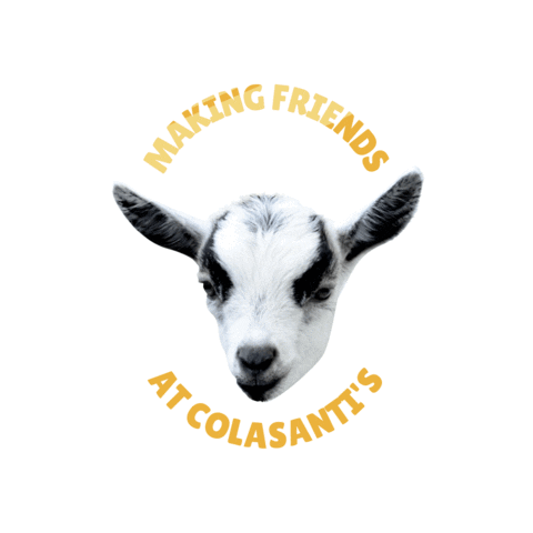 Colasanti's Tropical Gardens Sticker