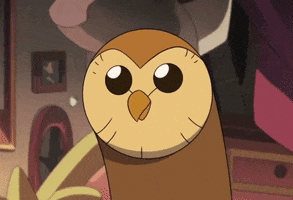 The Owl House GIF