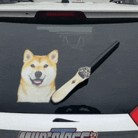Dog Reaction GIF by WiperTags Wiper Covers