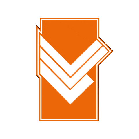 Vvlemelerveld Sticker by Voetbalvereniging Lemelerveld