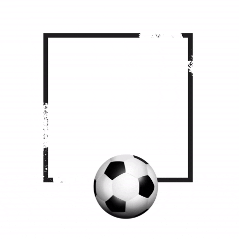 FV Schutterwald GIF