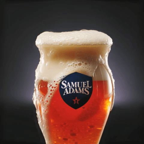 sam adams craft beer GIF by Samuel Adams Beer