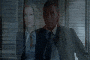 x files GIF by The X-Files