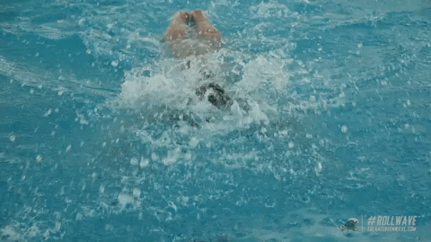 Fly Swimming GIF by GreenWave - Find & Share on GIPHY