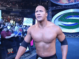 The Rock Wrestling GIF by WWE