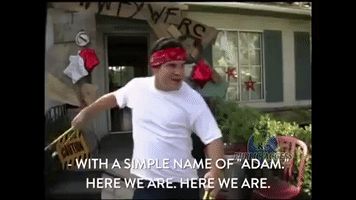 200.gif?cid=fc005b08df0766579d6e63a4355d956a1953d433cc999681&rid=200.gif&ct=g