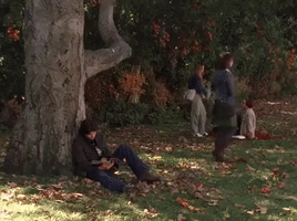 200.gif?cid=fc005b08cd6fa51a9ee2e54db93e49c61d3014b2a638648d&rid=200.gif&ct=g