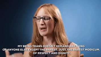 trans day of visibility lgbt GIF