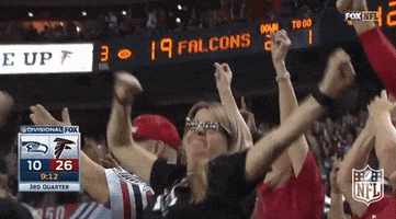 Go Atlanta Falcons GIF by NFL