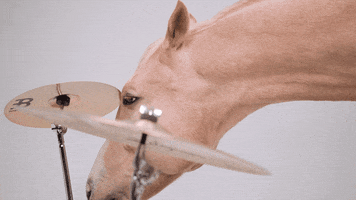 music video horse GIF by Domino Recording Co.