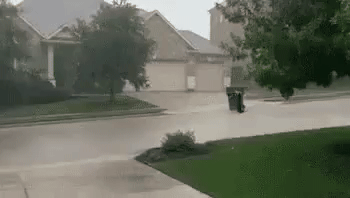 sabaaslamazashvili  GIF