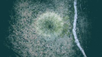 diakomardanbegi  GIF