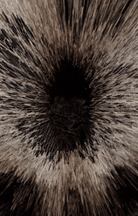 short_cut art glitch collaboration steemit GIF