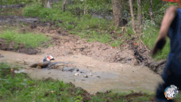 200.gif?cid=fc005b08d81de45bed05f8172d5439cc778680ce02b1b66a&rid=200.gif&ct=g