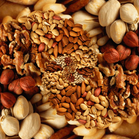 Thats Nuts GIF by Feliks Tomasz Konczakowski - Find & Share on GIPHY
