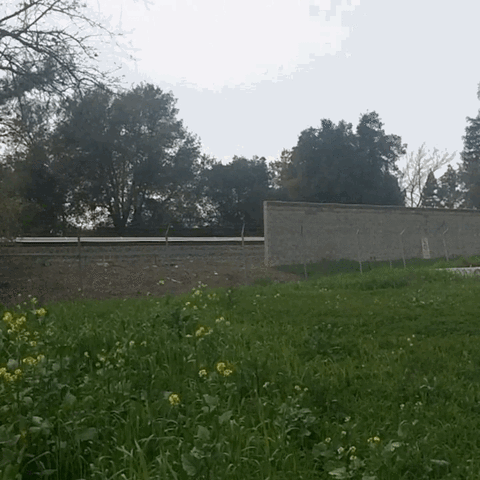 cloudsgrey train bart ba railway GIF