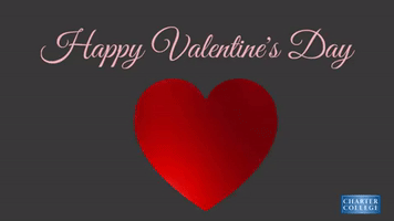 Happy Valentine GIF by Charter College