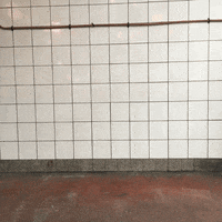 200.gif?cid=fc005b08b20ee5f8b0431f010c6bcc9bea30ca35fd75821a&rid=200.gif&ct=g