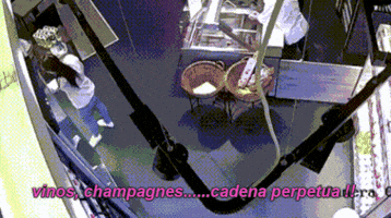 cachimacho vinos GIF