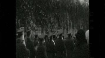 variantylvivua  GIF