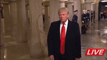 juliobahamondec trump shang tsung morph mortal kombat GIF