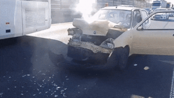 alexeykiyanitsa  GIF