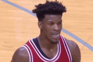 chicago bulls eyebrow raise GIF by NBA