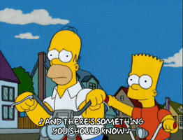 homer simpson GIF