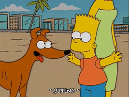 200.gif?cid=fc005b0820e446ea2eb5ff445dc9e920099da0dce5262f5c&rid=200.gif&ct=g