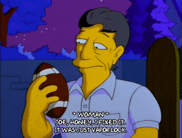 Season 9 Episode 6 GIF by The Simpsons