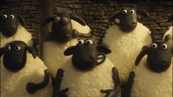 Come On Yes GIF by Aardman Animations