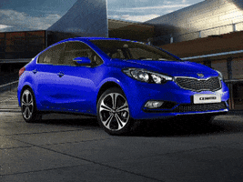 daliael-nabrawy kia GIF