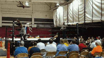 yamil iconace #prowrestling #aceshigh GIF